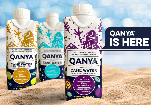 Logo Package Example: Branding and Packaging