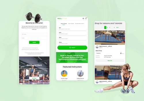 Web Development Package Example: Skillective online learning app and marketplace
