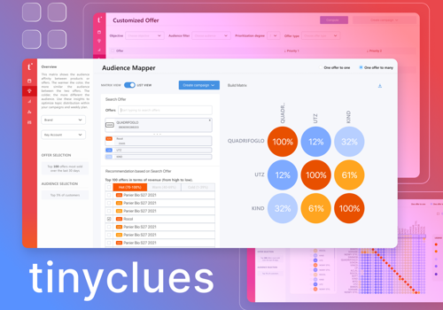 UX/UI Design Package Example: Tinyclues - AI Marketing CRM