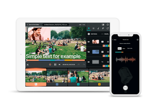 Custom Software Development Package Example: Professional Suite Of Multimedia Apps