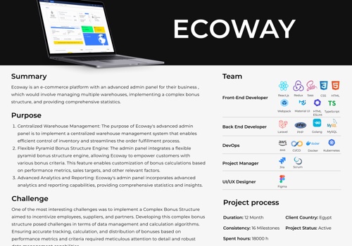 Web Design Package Example: Ecoway