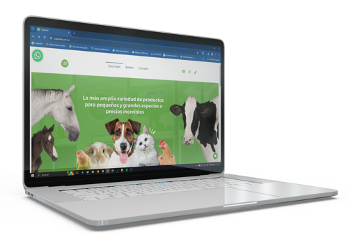 Web Design Package Example: Supervet