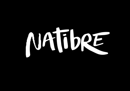 Branding Package Example: Nature Good: Logotype