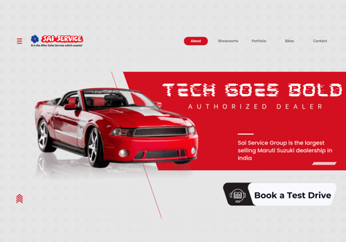 Custom Software Development Package Example: SaiService