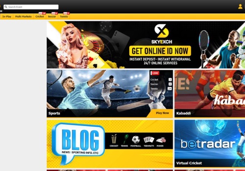 Custom Software Development Package Example: sabaexch