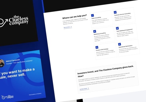 Web Design Package Example: Logo and Website for The Clueless Company