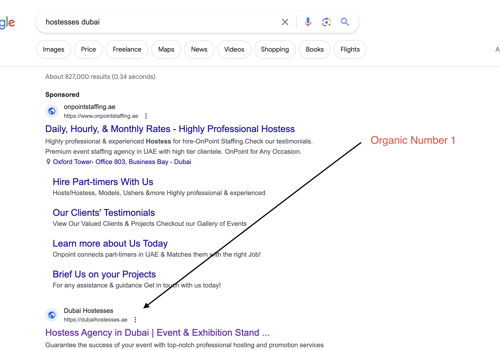 Search Engine Optimization Package Example: SEO Project