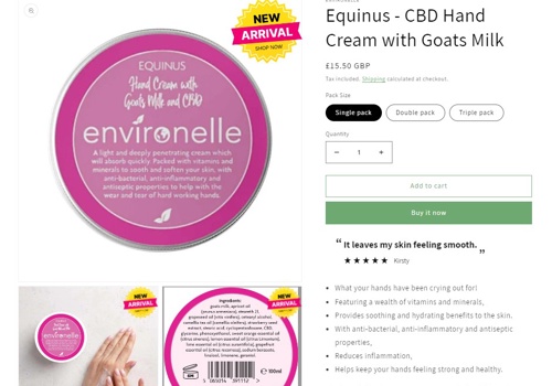 Web Development Package Example: Ecommerce Website and Marketing Services