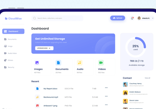 Web Design Package Example: CloudWise - Storage Management WebApp
