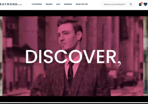 Search Engine Optimization Package Example: SEO for Raymonds