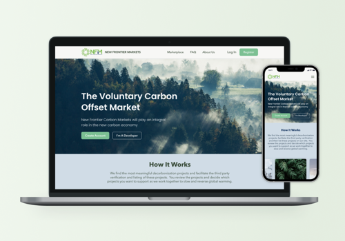 Blockchain Package Example: BLOCKCHAIN DRIVEN CARBON CREDITS MARKETPLACE