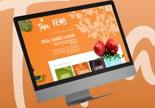 Branding Package Example: Crafting a Foundation for a Topa