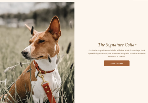 Pay Per Click Package Example: Genuine Canine