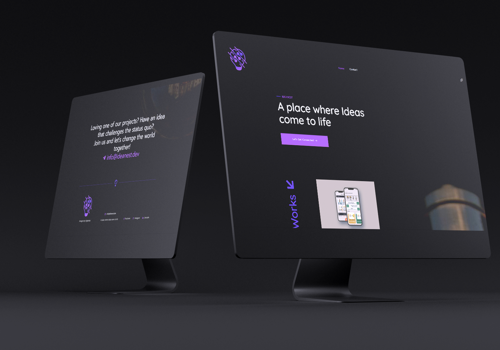 Web Design Package Example: Ideanest Website