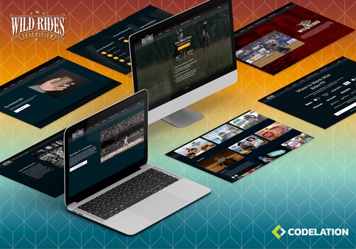 Web Development Package Example: Wild Rides Television