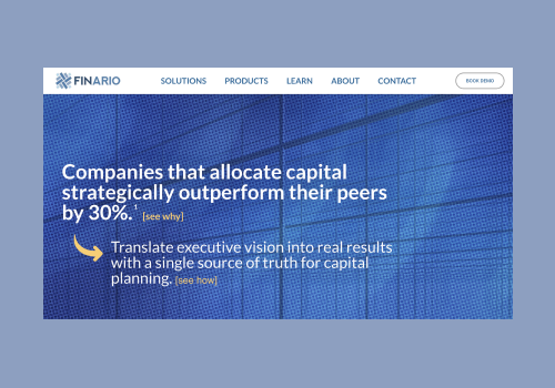 IT Staff Augmentation Package Example: Enterprise capital, portfolio management software