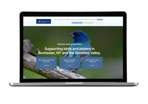 Web Design Package Example: Social Association Website