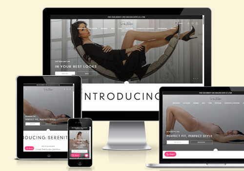 Search Engine Optimization Package Example: Shopify Elevate: Transformative Store Upgraditions