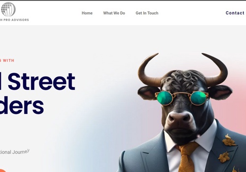 Web Design Package Example: Fintech Pro Advisors