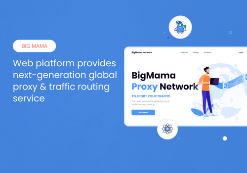 Web Design Package Example: Big Mama Network