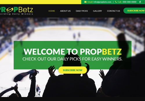 Custom Software Development Package Example: PROPBetz