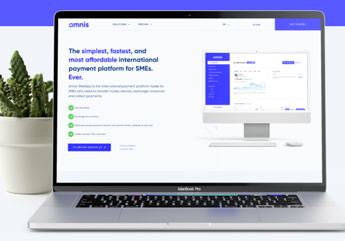 Web Design Package Example: Amnis international payment platform for SMEs