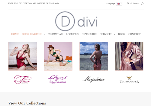 E-Commerce Development Package Example: Heaven Lingerie