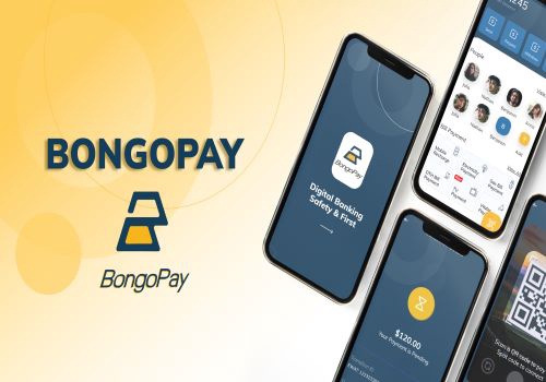 Custom Software Development Package Example: BongoPay - E-Wallet App for Android and iOS