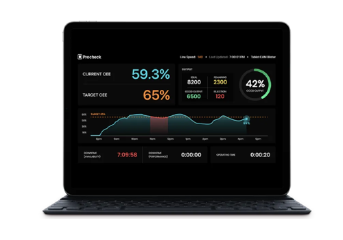 BI & Big Data Consulting & SI Package Example: ProCheck Data