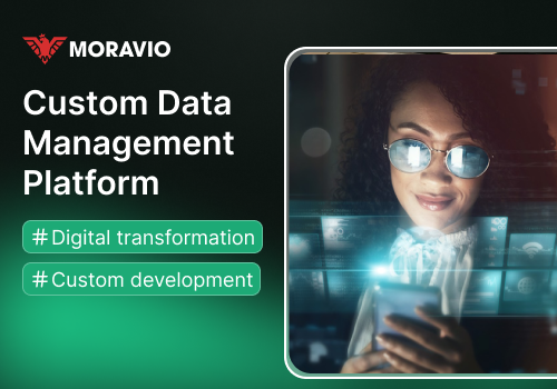 Web Development Package Example: Custom web application for digital transformation