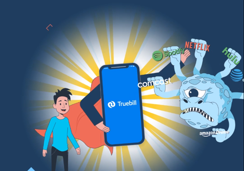 Video Production Package Example: Truebill