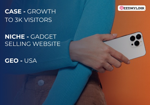 Search Engine Optimization Package Example: Gadgets Selling website growth to 3000 visitors