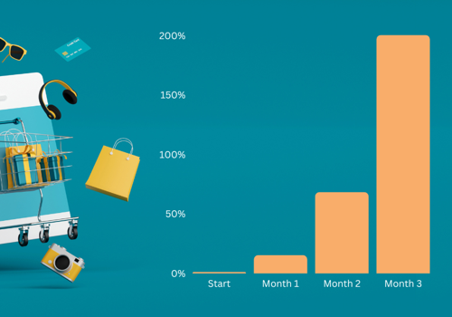 E-Commerce Development Package Example: Shopify SEO Case Study