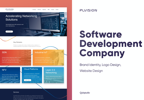 UX/UI Design Package Example: PLVISION - Website Design, Brand Identity