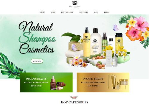 Web Design Package Example: Re-Design, New Content and SEO