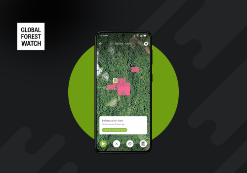 Mobile App Development Package Example: Global Forest Watch