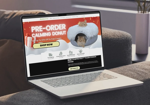 Web Design Package Example: Ecommerce site build for Cattasaurus