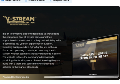 Web Design Package Example: V-Stream Aviation