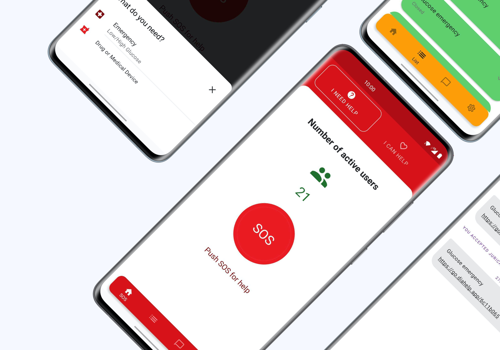Mobile App Development Package Example: DiaHelp