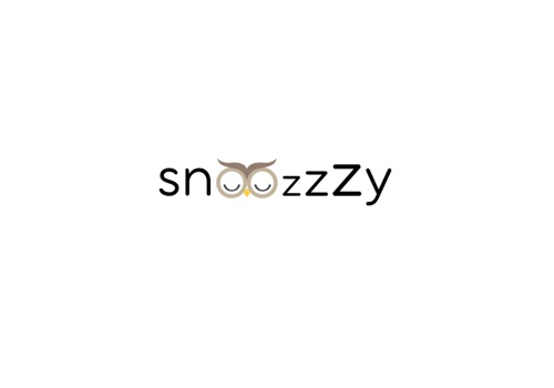 Search Engine Optimization Package Example: Digital PR Campaign for Snoozzzy