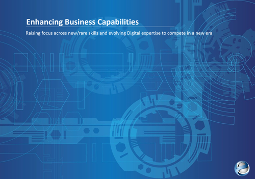 Business Consulting Package Example: Business Capabilities and Change Management