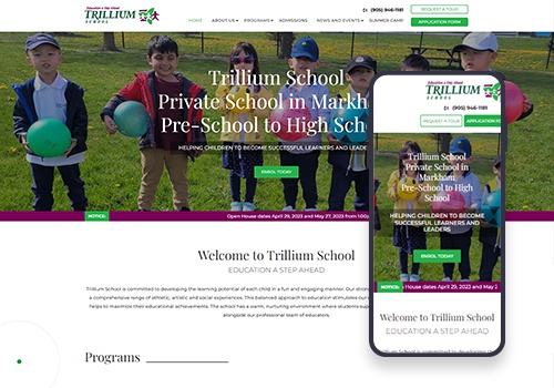 Search Engine Optimization Package Example: Trillium School