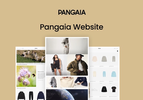 Web Development Package Example: PANGAIA