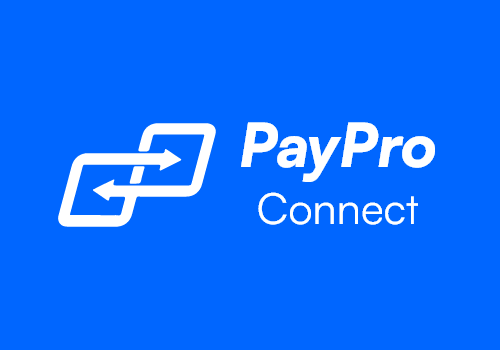 Web Development Package Example: PayPro Connect