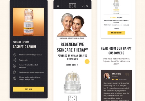 Web Design Package Example: Ecommerce site for a startup company