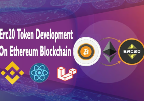 Custom Software Development Package Example: Erc20 Token Development on Ethereum Blockchain