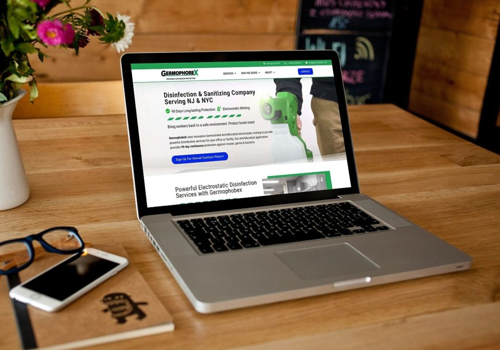 Web Design Package Example: Website design for Disinfection Company