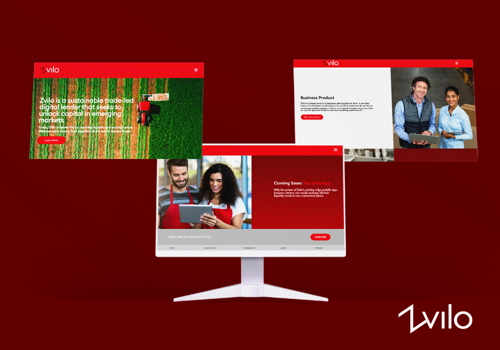 Web Development Package Example: Digital Lender Platform