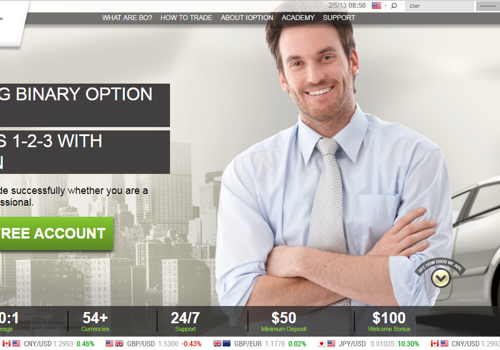 Web Development Package Example: iOption: Website Development