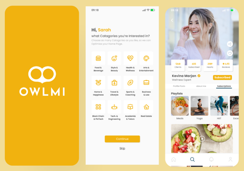 IT Staff Augmentation Package Example: OWLMI